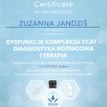 Powiększ obraz: certificate 4