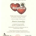 Powiększ obraz: certificate 43