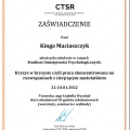 Powiększ obraz: certificate 28