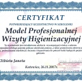 Powiększ obraz: certificate 4