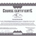 Powiększ obraz: certificate 2