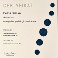 Powiększ obraz: certificate 9