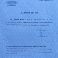 Powiększ obraz: certificate 2