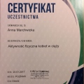 Powiększ obraz: certificate 7