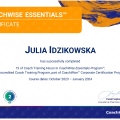 Powiększ obraz: certificate 7