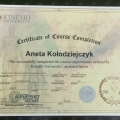 Powiększ obraz: certificate 3