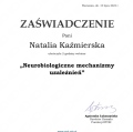 Powiększ obraz: certificate 5