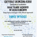 Powiększ obraz: certificate 5