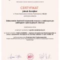 Powiększ obraz: certificate 33