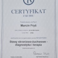 Powiększ obraz: certificate 5