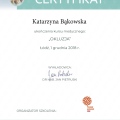 Powiększ obraz: certificate 2