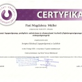 Powiększ obraz: certificate 31