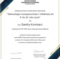 Powiększ obraz: certificate 2