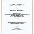 Powiększ obraz: certificate 10