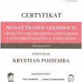 Powiększ obraz: certificate 7