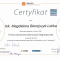 Powiększ obraz: certificate 2