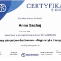 Powiększ obraz: certificate 2