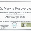 Powiększ obraz: certificate 1