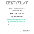 Powiększ obraz: certificate 3