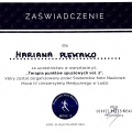 Powiększ obraz: certificate 4