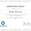 Powiększ obraz: certificate 22