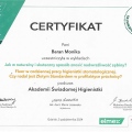 Powiększ obraz: certificate 1