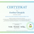 Powiększ obraz: certificate 16