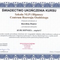 Powiększ obraz: certificate 8