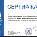 Powiększ obraz: certificate 17