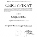 Powiększ obraz: certificate 2