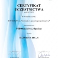 Powiększ obraz: certificate 8