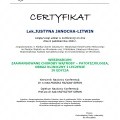 Powiększ obraz: certificate 8