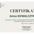 Powiększ obraz: certificate 4