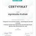 Powiększ obraz: certificate 11