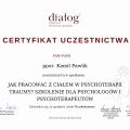Powiększ obraz: certificate 20