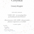 Powiększ obraz: certificate 2