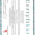 Powiększ obraz: certificate 12