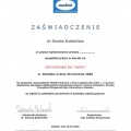 Powiększ obraz: certificate 6