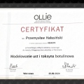 Powiększ obraz: certificate 3