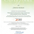 Powiększ obraz: certificate 8