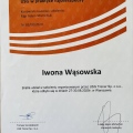 Powiększ obraz: certificate 8