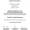 Powiększ obraz: certificate 1