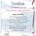 Powiększ obraz: certificate 2