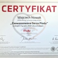 Powiększ obraz: certificate 4