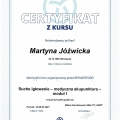 Powiększ obraz: certificate 4