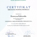 Powiększ obraz: certificate 9