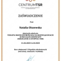 Powiększ obraz: certificate 6