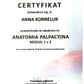 Powiększ obraz: certificate 14