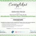 Powiększ obraz: certificate 6