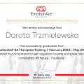 Powiększ obraz: certificate 13